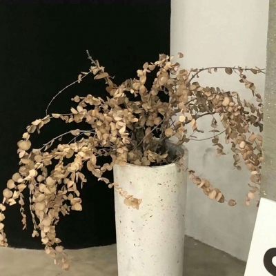 Furry圈经典作品赏析FurryQQ群